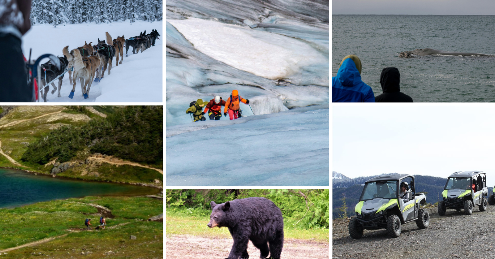 Photo collage showing shore excursions in Alaska from a Vancouver cruise: dog sledding with Alaskan huskies, ice climbing on Exit Glacier, whale watching, hiking the Chilkoot Trail, bear encounters at Neets Bay Observatory, and ATV rides.