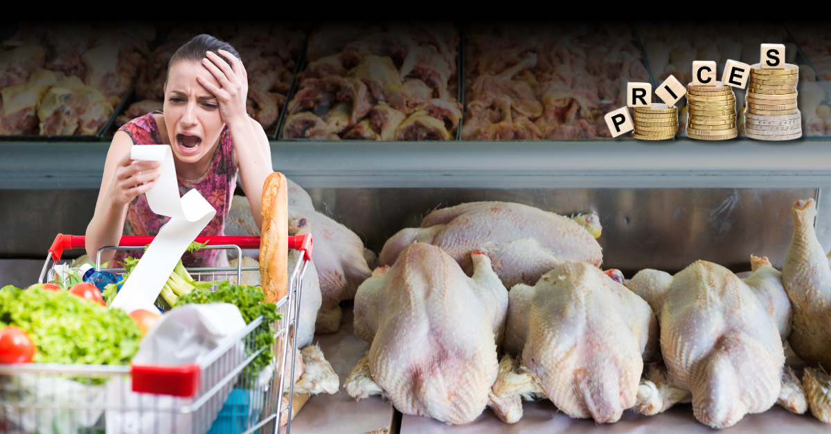 Why is chicken so expensive in canada? A woman in grocery store is frustrated and shocked looking at the receipt because of how expensive chicken is in Canada.